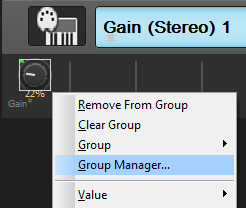 Step 13 - Open the group manager